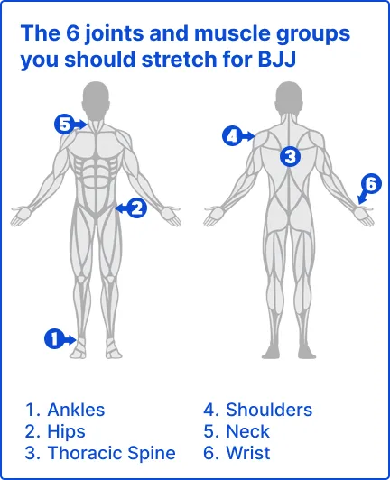 Diagram showing the 6 joints and muscle groups to stretch for BJJ: Ankles, hips, thoracic spine, shoulders, neck and wrist.